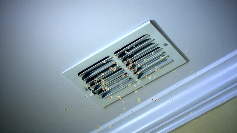 Best HVAC Duct Inspection Services  in Country Squire Lakes, IN
